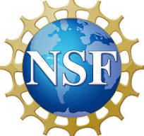 NSF